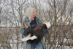 Tell me a story Meme Template