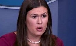 crazy sarah huckabee sanders Meme Template