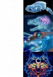 dog brain expand Meme Template