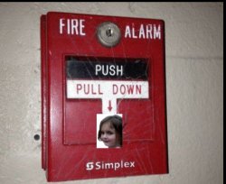Disaster girl fire alarm Meme Template