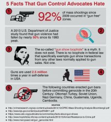  Gun Control Fact Meme Template