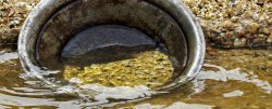 gold panning Meme Template