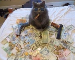thug life cat with guns and money Meme Template