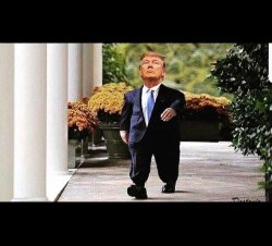 Dwarf Trump Meme Template
