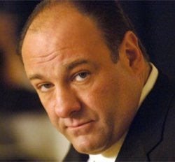 be tony soprano Meme Template
