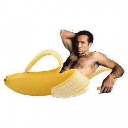 Nicholas Cage Sex Meme Template