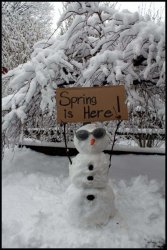 Spring snowman Meme Template