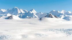 Antarctica Meme Template