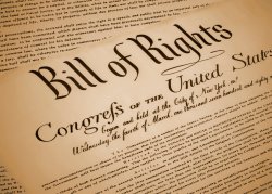 Bill of Rights Meme Template