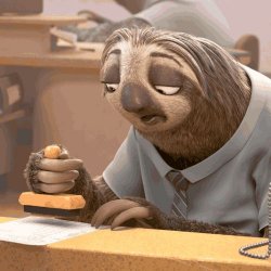 Slow sloth Meme Template
