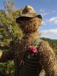 Straw Man Meme Template