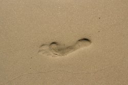 Footprint in sand Meme Template