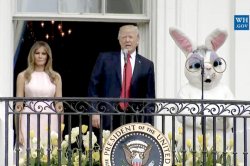 trump with melania and easter rabbit Meme Template