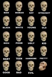 idiot skull extended Meme Template