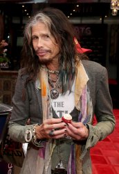 Steven Tyler Meme Template