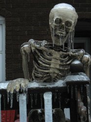 Winter Skeleton Meme Template