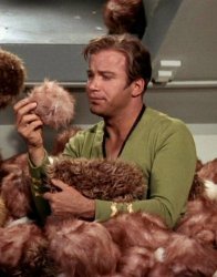 Kirk and Tribbles Meme Template