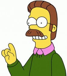 Ned Flanders Meme Template