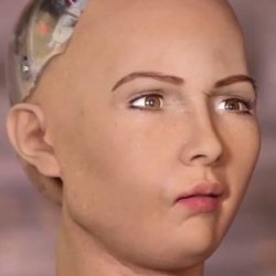 AI robot lady weird face Meme Template