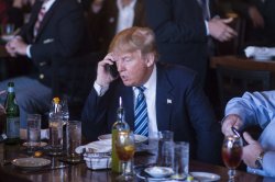 Trump phone Meme Template
