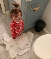 Toilet paper toddler  Meme Template