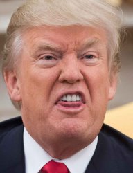 TRUMP Meme Template