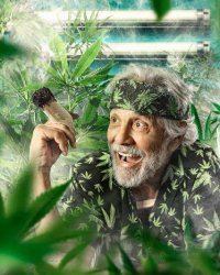 Chong cannabis Meme Template