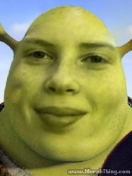 Shrek is love Meme Template