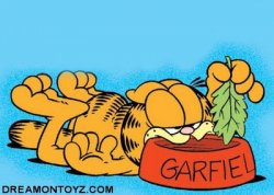 garfield on a diet Meme Template