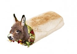 burrito Meme Template