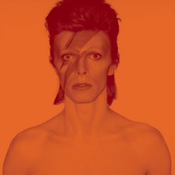 David Bowie Is Meme Template