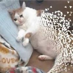 Mr Stark I don't feel so good... Meme Template