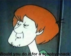 Would you do it for a Scooby snack? Meme Template