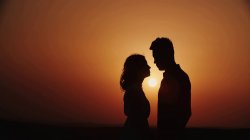 Romance Sunset Silhouette Looking At Each Other Meme Template