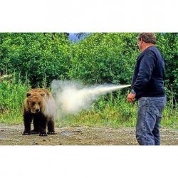 Bear Pepper Spray Meme Template