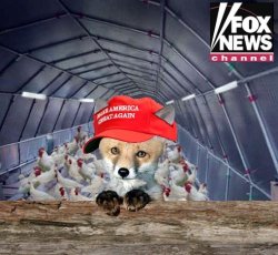 FOX NEWS GUARDS HENHOUSE Meme Template