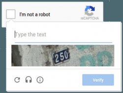 captcha Meme Template