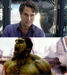 the hulk says no! Meme Template
