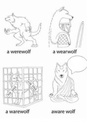 Aware Wolf Meme Template