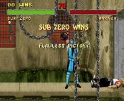 Sub Zero Flawless Victory Mortal Kombat Meme Template