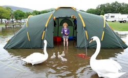 Camping flooding swans Meme Template