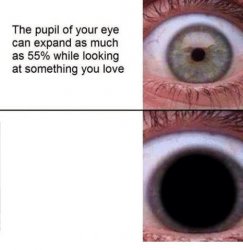 Expanding Pupil Meme Template