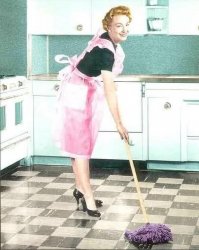 mopping Meme Template