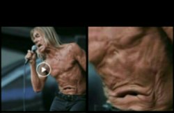 Iggy Pop Meme Template