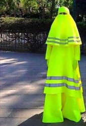 Sharia law traffic cone Meme Template