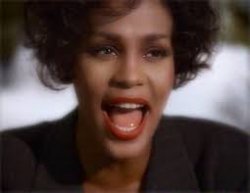 whitney houston Meme Template