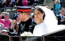 Royal Wedding Meme Template