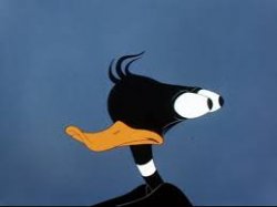 Daffy Duck Meme Template