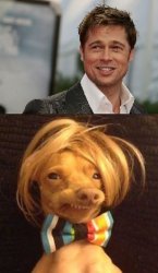 Brad Pitt and dog smiling Meme Template
