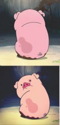 waddles eat Meme Template